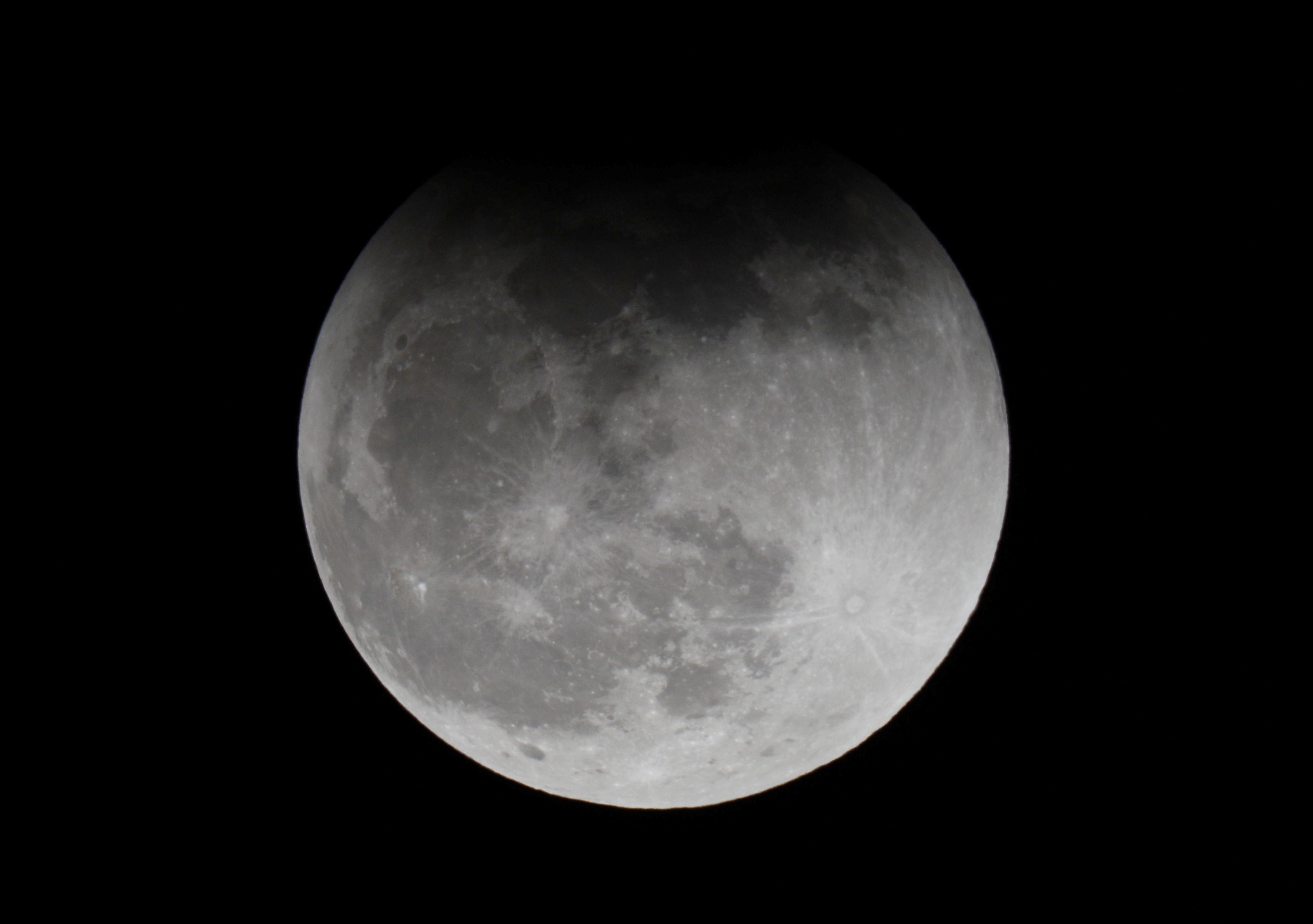 1lunar2011_10.jpg