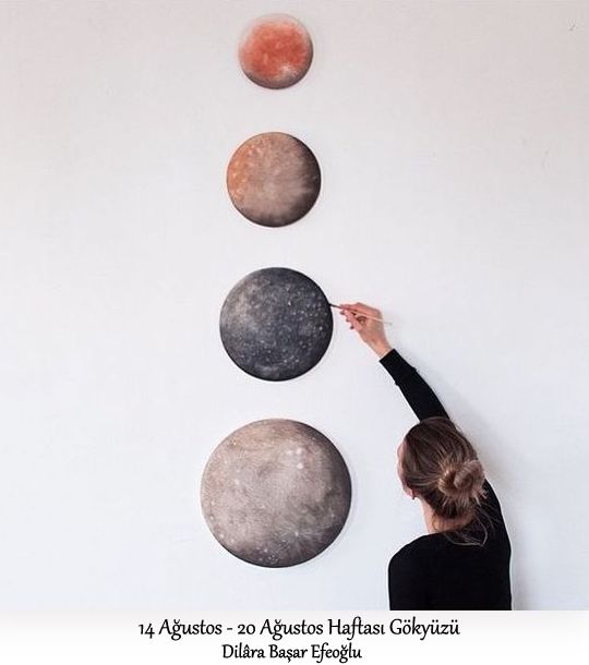 9bc3d3a404e55e1dfc36913ff6317762 (1)