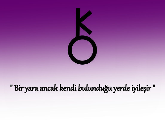 gereken "Bir yara ancak kendi bulunduğu yerde iyileşir".